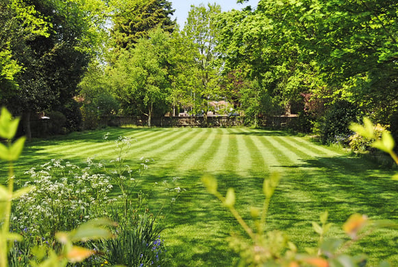 Summer Lawn.